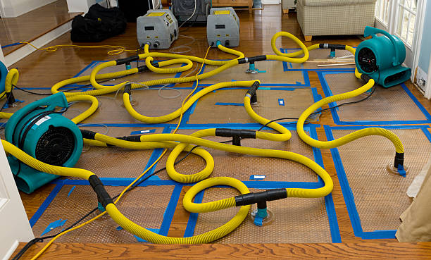 Professional Water Extraction technician working in Frackville, PA